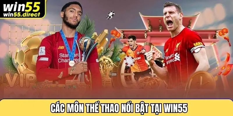 Các môn thể thao cá cược nổi bật tại Win55