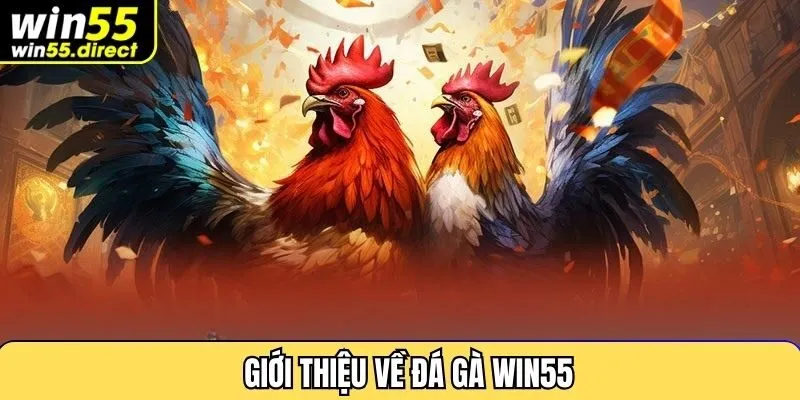 Giới thiệu về đá gà Win55