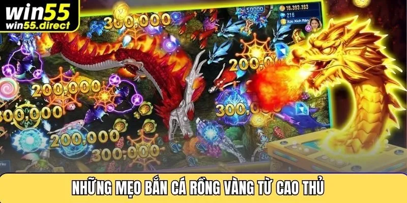Những mẹo bắn cá rồng vàng từ cao thủ 
